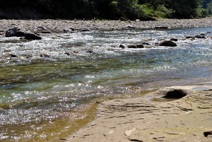 DSC_3475b_fB
