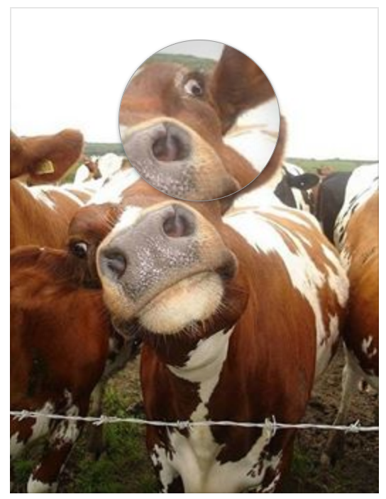 Voyeurin | pic by 1.000.000 pictures