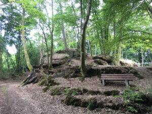 Im Wald eine Gruppe Bäume auf Felsen mit Sitzbank