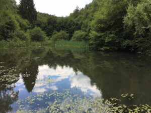 Kleiner See, umgeben von Bäumen, die sich im Wasser spiegeln