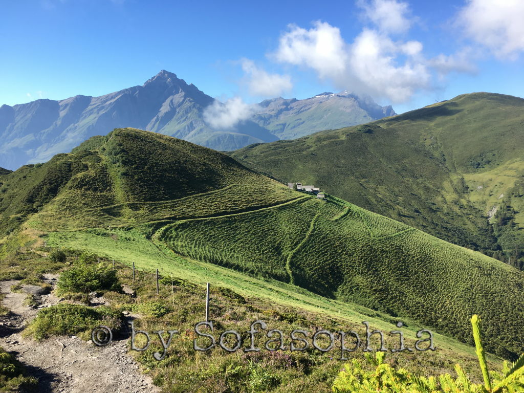 Nochmals ein ähnlicher Bildausschnitt, diesmal mit Alp Bischola im Bild, Alpwiesen, Hügel, Berge unter Blauhimmel.