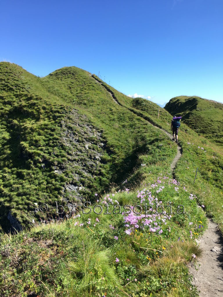 Irgendlink strebt auf dem Gratweg dem nächsten Gipfel entgegen. Von weitem fotografiert.