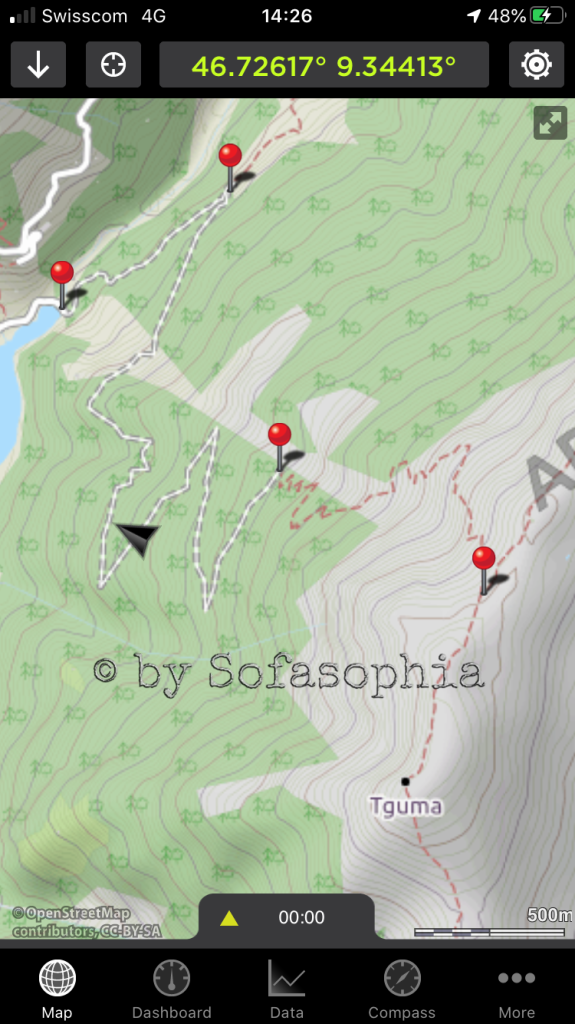 Dieser Screenshot zeigt die Serpentinen des Abstiegs zum Stausee im Safiental. Sehr sehr steil. Tausend Höhenmeter abwärts geht es.