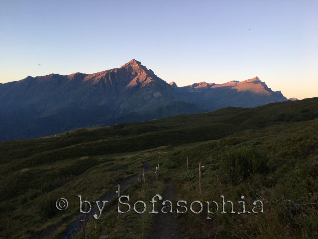 Die Bergspitzen sind schon ein bisschen mehr in rose Morgenlicht getaucht. Die Wiesen im Vordergrund sind noch im Schatten.
