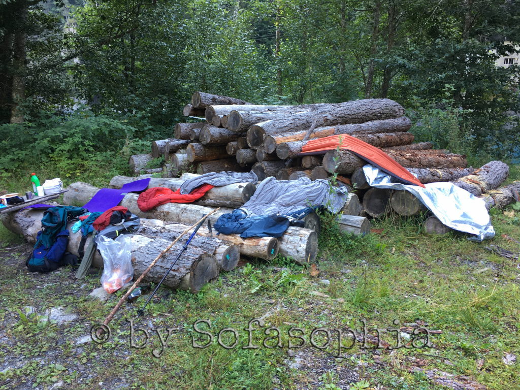 Auslegeordnung: Auf gefällten Baumstämmen sind unsere Sachen ausgebreitet, damit die Sonne die Morgenfeuchte trocknen kann.