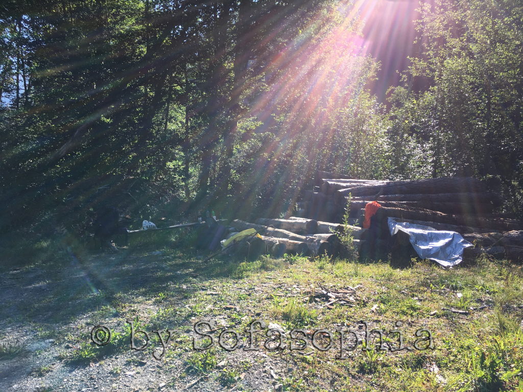 Schon fast ist alles eingepackt. Die Sonne hat unseren Platz erreicht.