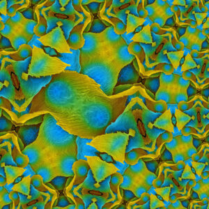 Buntes Bild mit Wiederholungen in den Farben hellgrün, blau, braun und gelb.