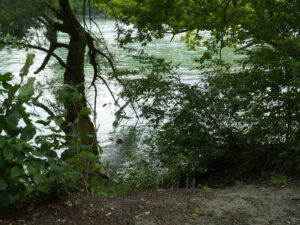 Noch einmal ein Blick auf den Fluss, Erdboden, Bäume.