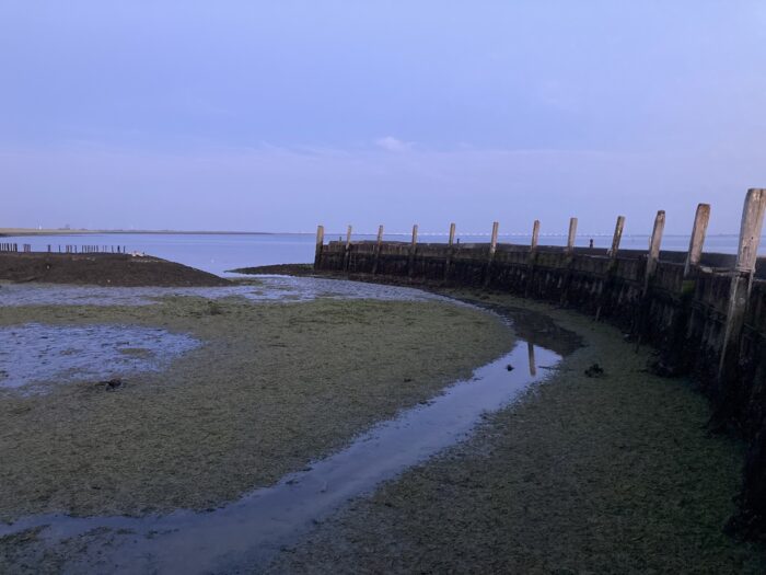 Blaustichige Aufnahme einer Mauer, die das Meer vom Festland trennt. Die Mauer hat Holzstangen, die in regelmäßigen Abständen angebracht sind.