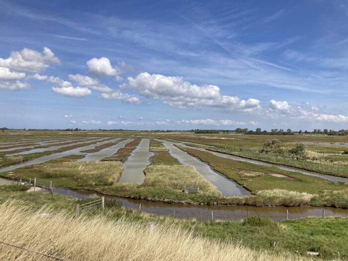 Naturaufnahme über eine weite Landschaft mit diversen längs und quer verlaufenden Kanälchen , die vermutlich zur Entsalzung dienen, unter bauschigen Wolken und blauem Himmel.