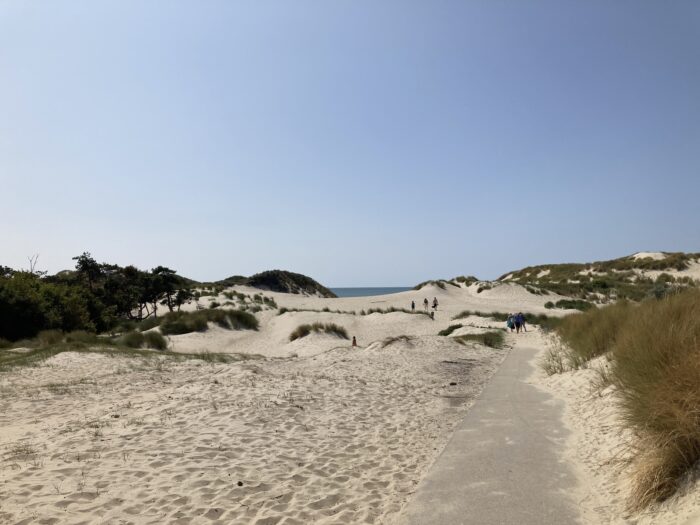 Sanddünen, in der Bildmitte ein Streifen Meer. Rechts und links struppiges Gebüsch und Sträucher. Darüber Blauhimmel.
