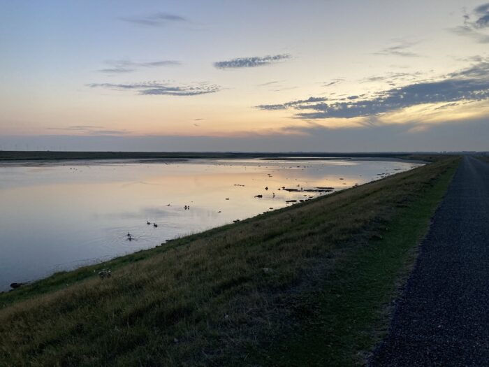 Blaue Stunde. Orange-farbener Himmel mit dunkelgrauen, schlierigen Wolken. Gewässer mit vielen Enten und anderen Vögeln, darum herum festes Land als Silhouette, im Vordergrund ein Abhang.