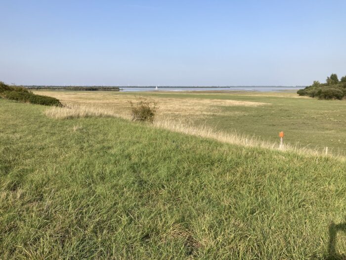 Blick über Landschaft, am Horizont das Meer, darüber Blauhimmel. Im Vordergrund Wiese und Gebüsch.