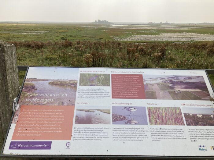 Infotafel mit Vogel- und Naturaufnahmen und dazwischen Text. Dahinter Aussicht auf Landschaft und am Horizont das Meer. Der Himmel ist ein wenig verhangen und trüb.