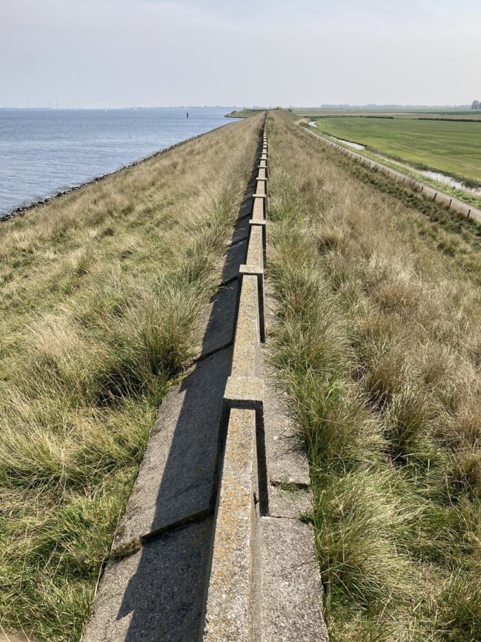 Deich. LInks grasbewachsener Abhang und Meer, rechts grasbewachsener Abhang und Landschaft mit Wiese. Heller Himmel am Horizont.
