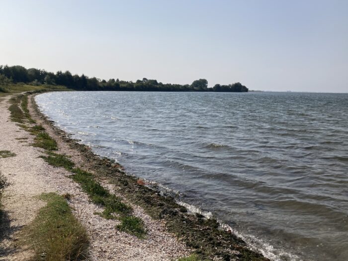 Strandaufnahme. Kiesstrand links, rechts welliges Meer, im Hintergrund Bäume am Ufer.