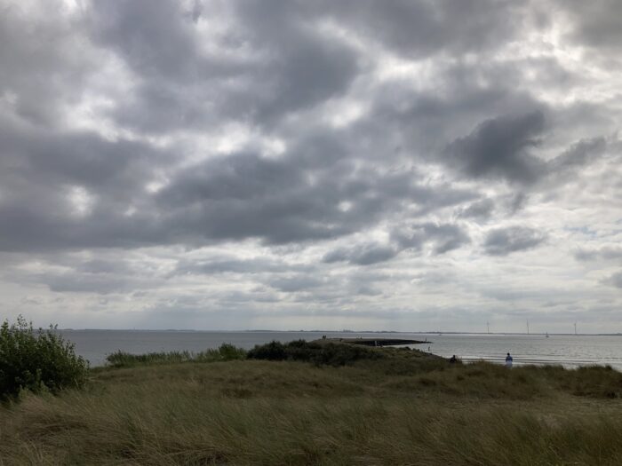Dramatischer Himmel mit weißen und grauen Wolken über dem Meer, im Vordergrund Wiese und Gebüsche.