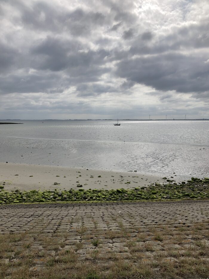 Dramatischer Himmel mit weißen und grauen Wolken über dem Meer, im Vordergrund eine abschüssige Deichmauer sowie Sandstrand und moosige Steine.