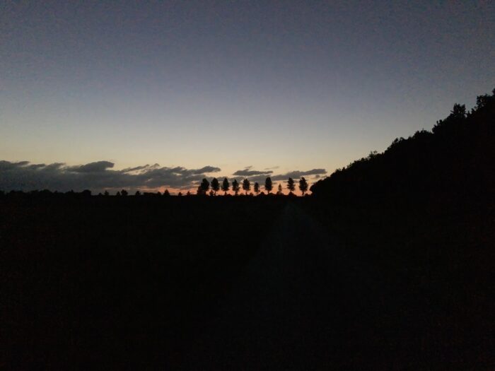 Weitwinkel-Nachtaufnahme des noch leicht orange-farbenen Himmels. Die Silhouette von Bäumen. Vorne schwarz, hinten der blauschwarze Himmel.