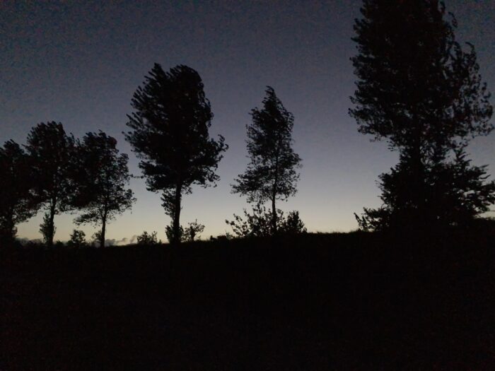 Baumsilhouetten vor blauschwarzem Nachthimmel, untere Bildhälfte schwarz.