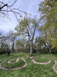Labyrinth auf einer Wiese, der Weg ist aus Erde. In der Mitte eine Eiche, im Hintergrund weitere Bäume. Ein Mensch begeht das Labyrinth