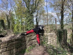 Mann liegt auf Mauer auf dem Bauch, um etwas fotografieren zu können, dahinter Bäume und Himmel