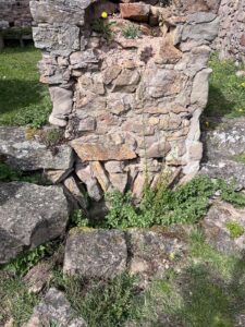 Das gleiche Mauerstück von weitem mit zwei Eidechsen, die nicht auf den ersten Blick zu sehen sind