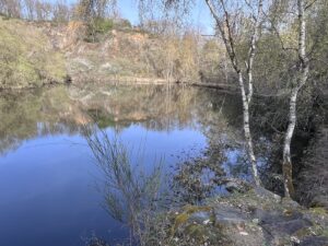 Der Silbersee mit einer noch nicht ganz grünen Umgebung, Bäume und Gebüsch, das sich im Wasser spiegelt