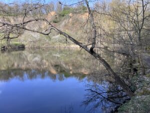 Nochmals der Silbersee mit einer noch nicht ganz grünen Umgebung, Bäume und Gebüsch, das sich im Wasser spiegelt