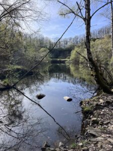 Ein letztes Bild vom Silbersee, rechts und links Bäume und Gebüsch