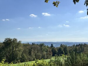 Weitblick mit nahem Wald, Hügel und Wiese, im HIntergrund Alpenkette, darüber Blauhimmel