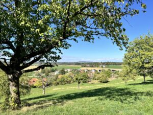 Weitblick, hügelige Landschaft mit Ackerland, Wald und Dörfern, im Vordergrund links ein Baum, der ins Bild hinein ragt, darüber Blauhimmel