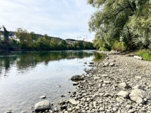 Flussufer mit Kiesstrand und rechts und links Bäume und Gebüsch