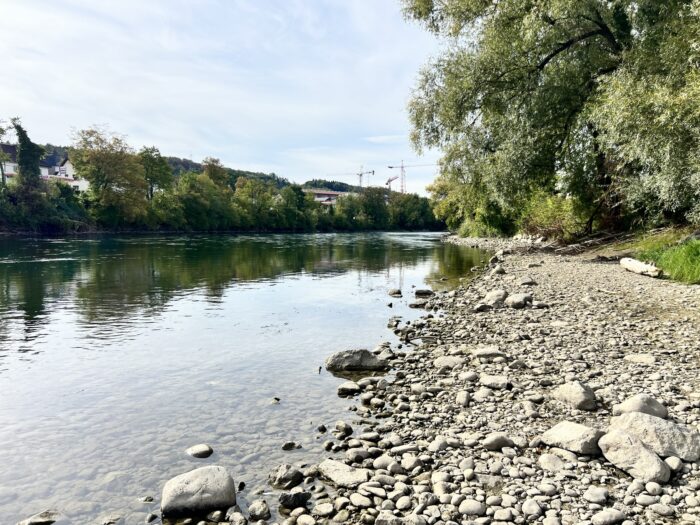 Flussufer mit Kiesstrand und rechts und links Bäume und Gebüsch