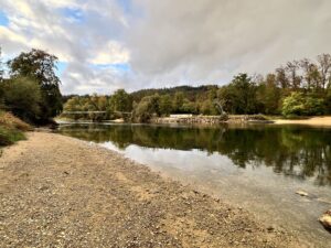 Ähnliche Flusslandschaft, wieder vorne Kiesbank, hinten Auenlandschaft, Wald, Bäume, darüber wolkiger, gelbstichiger Herbsthimmel.